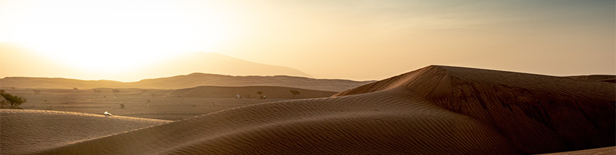 oman sand dune at dusk
